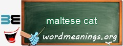 WordMeaning blackboard for maltese cat